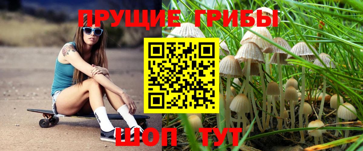 Ревда  Псилоцибиновые грибы MAGIC MUSHROOMS  Вход с VPN 